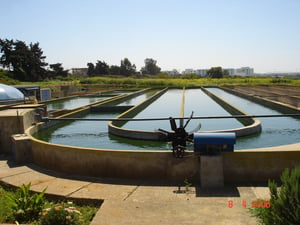 Open Pond System